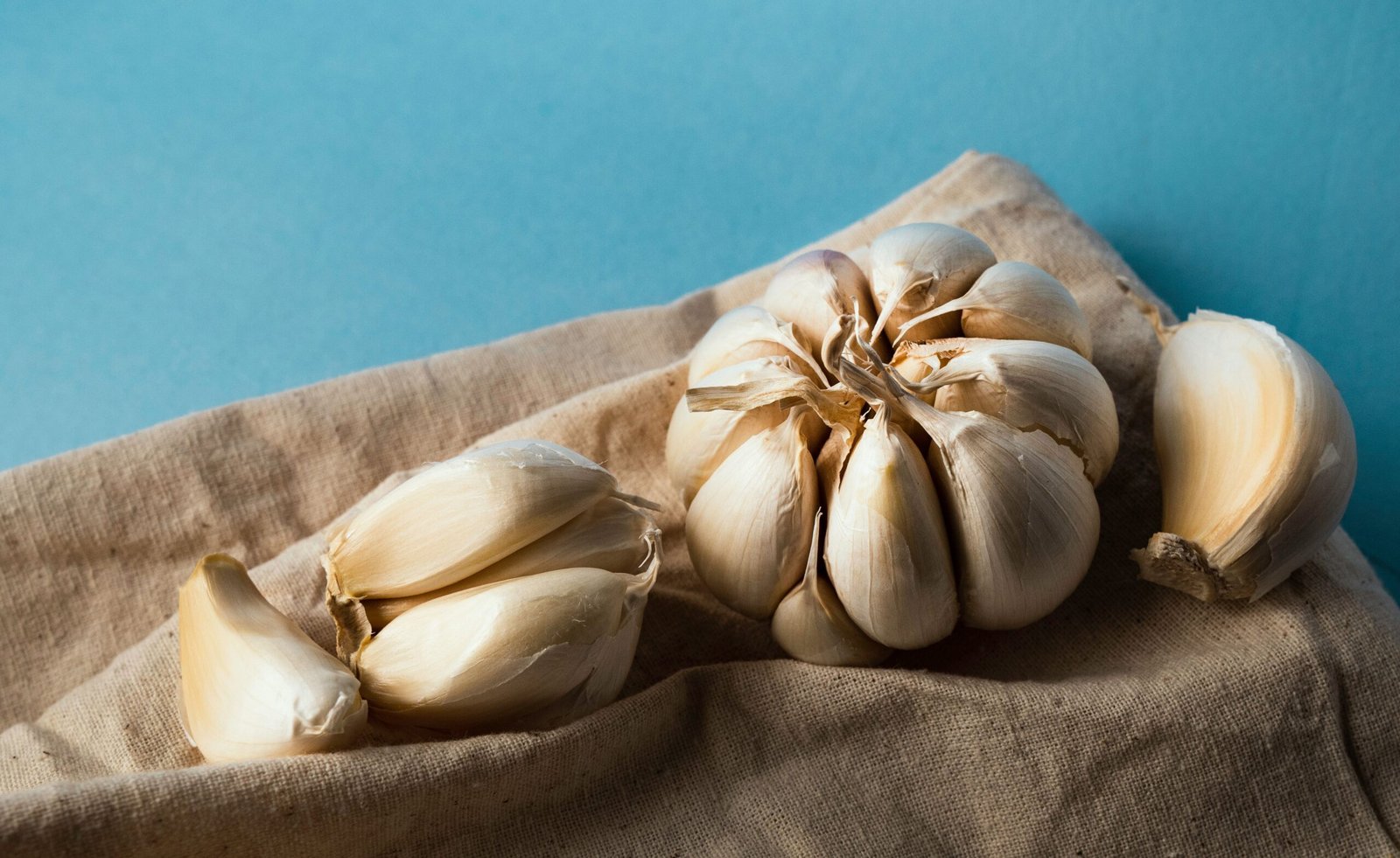 Close‑up of fresh garlic bulbs and cloves resting on beige fabric against a soft blue background, showing the natural texture and color of the garlic.