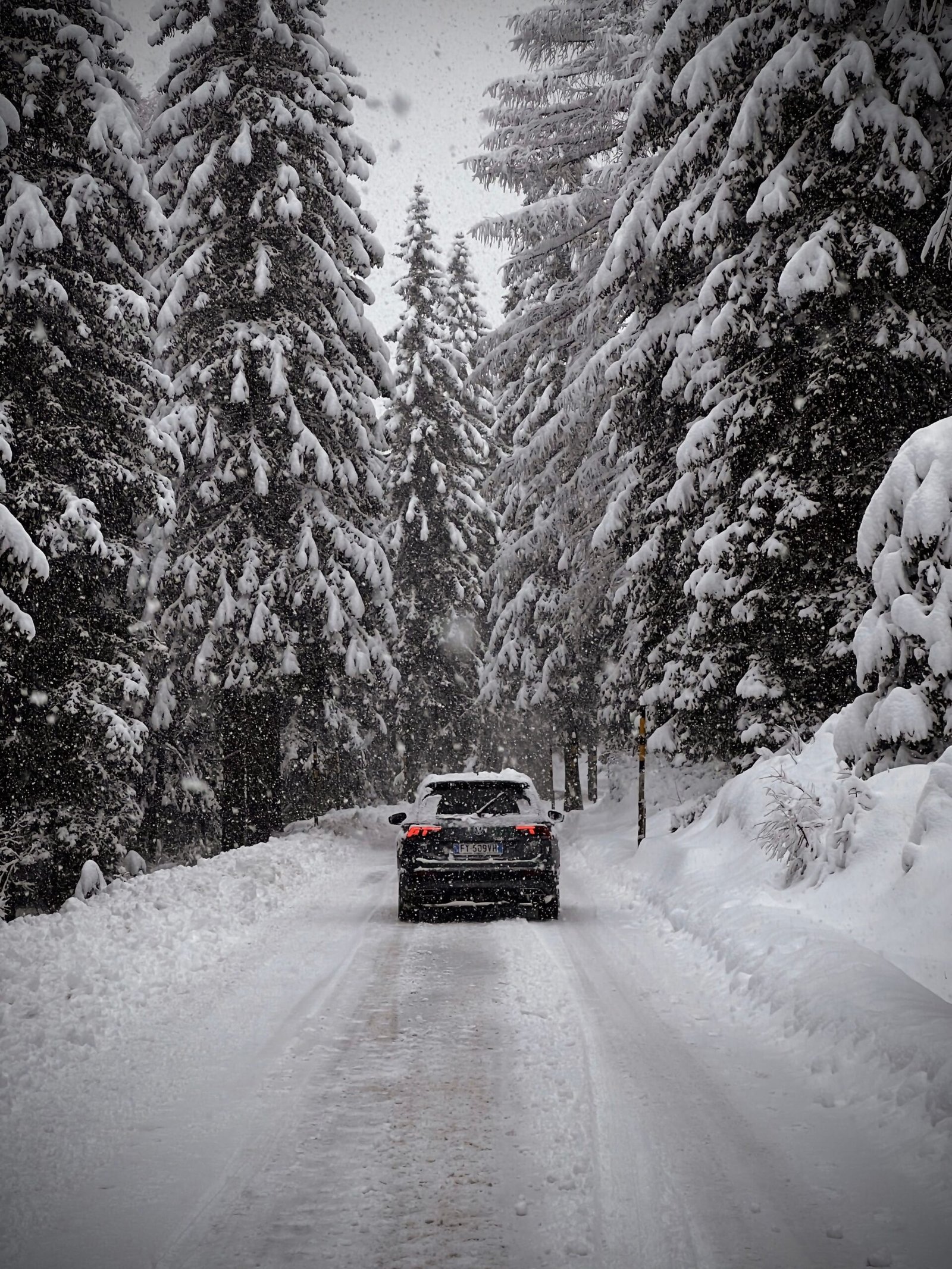 Dark SUV driving slowly along a snow covered forest road during a snowfall, with tall snow laden evergreens on both sides