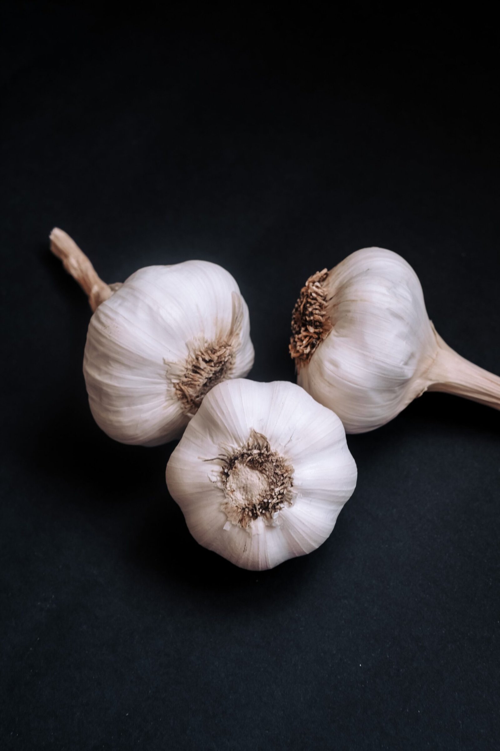 Three whole garlic bulbs with papery white skins and dry root ends on a dark background