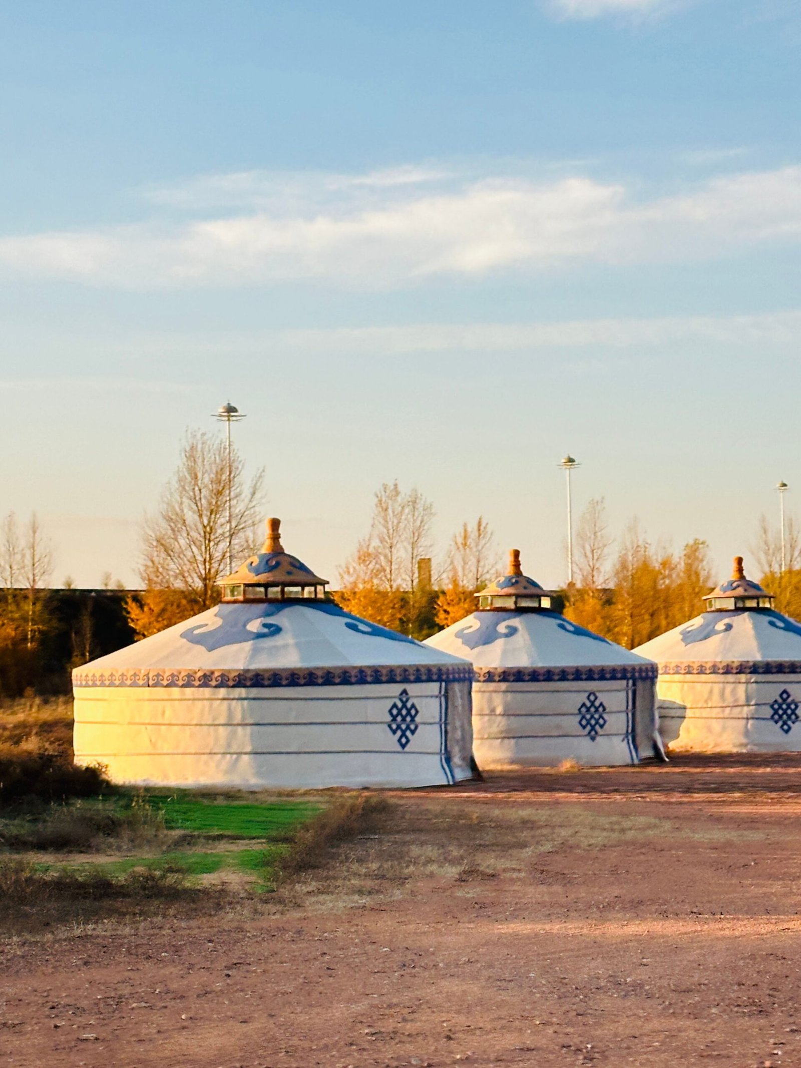 Row of round white yurts with blue patterned trim and domed roofs, set among golden fall trees under a soft evening sky
